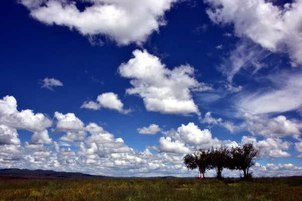 万宝配资 生态环境法典将带来哪些改变？专家详解