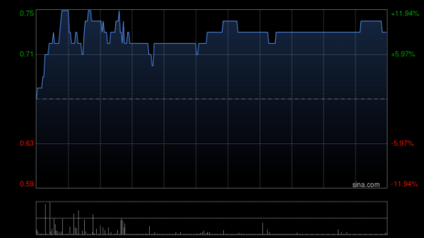 日昇配资 旷逸国际拟发行最多1.41亿股配售股份