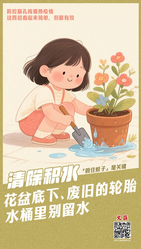 中华金配 文汇海报｜防控基孔肯雅热疫情，这四招很简单但最管用